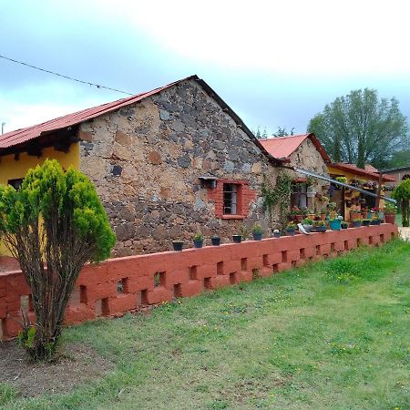 Cabanas Las Margaritas Huasca de Ocampo Bagian luar foto