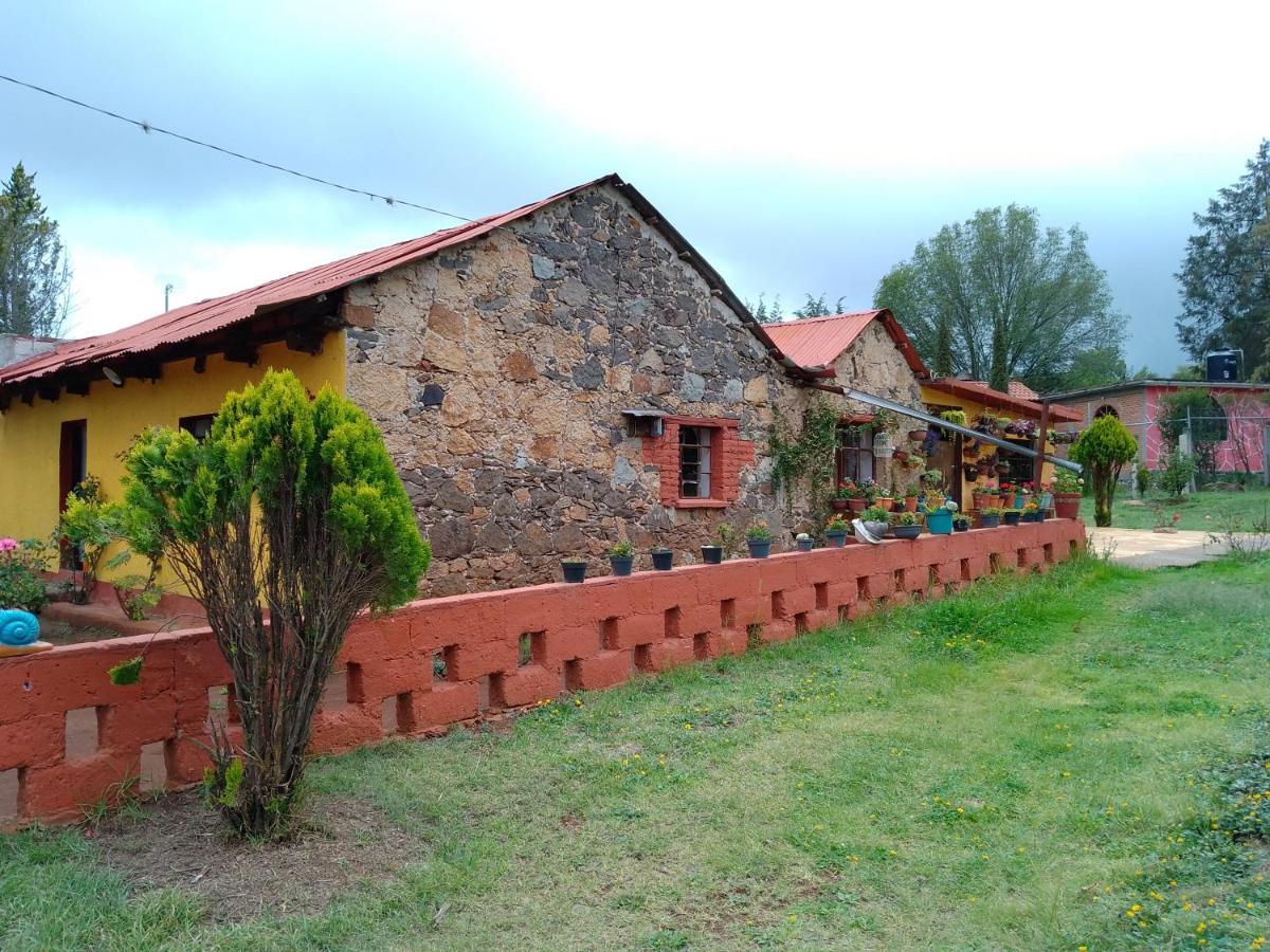 Cabanas Las Margaritas Huasca de Ocampo Bagian luar foto