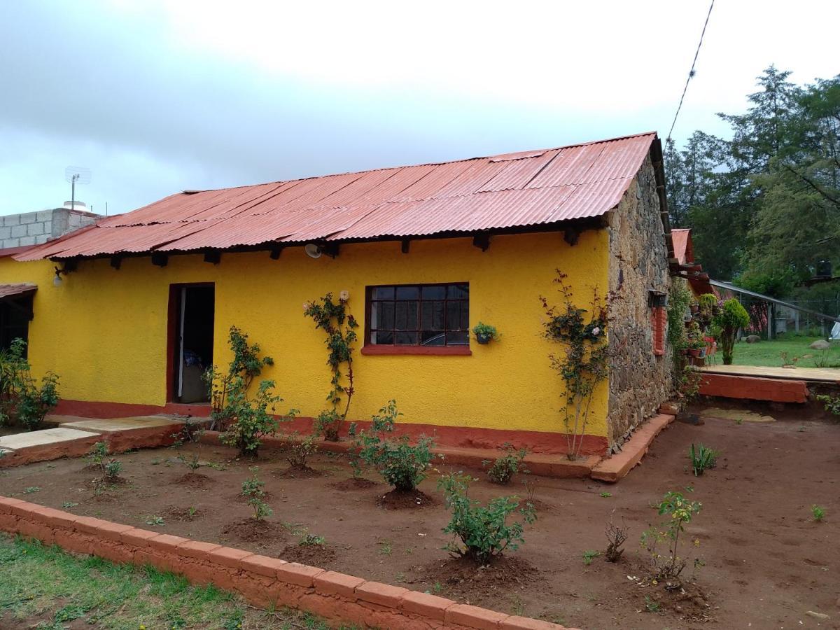 Cabanas Las Margaritas Huasca de Ocampo Bagian luar foto